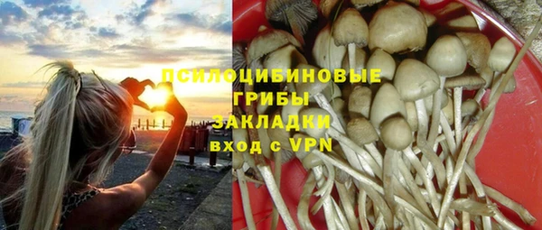 Альфа ПВП Беломорск