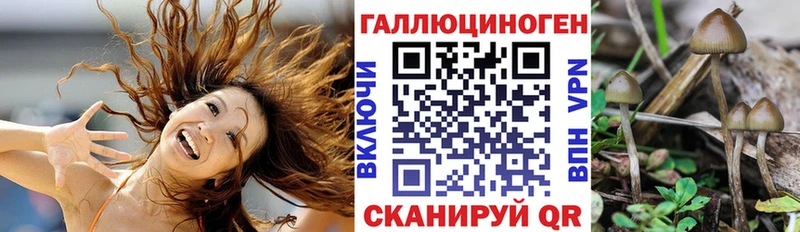 Галлюциногенные грибы мухоморы закладки Наро-Фоминск